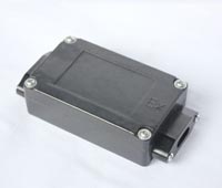 FJH防爆二通接线盒 麻豆少妇高清无码专区带专用直型接线盒