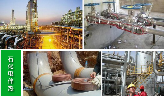 石化电麻豆少妇高清无码专区